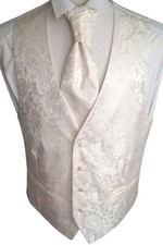 Hochzeitsweste mit Plastron