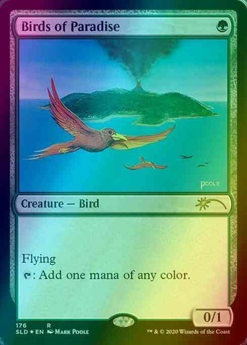 Birds paradise foil - of,