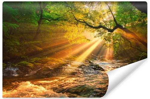 Selbstklebende fototapete wald - selbstklebende,