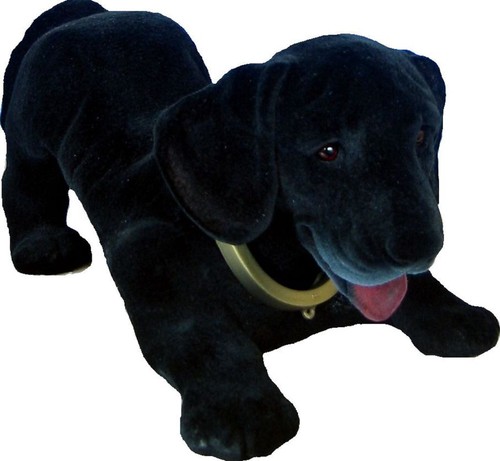 Wackel dackel labrador - wackel,
