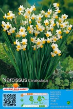 @ (◕‿◕)\@ Zwerg