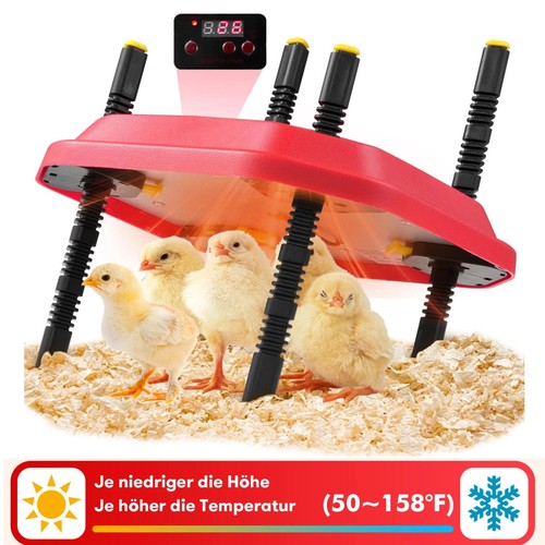 Küken wärmeplatte heizplatte - küken,