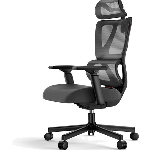 Ec100 ergonomischer bürostuhl - ec100,
