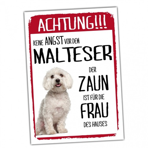 Malteser dog schild - malteser, achtung