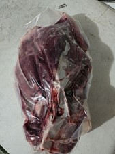 Wildschwein,Überläufer,Frisc