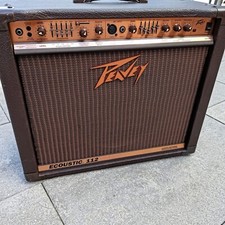 Peavey Ecoustic 112 , Gitarren