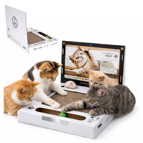 Kratzspielzeug laptop - kratzspielzeug,