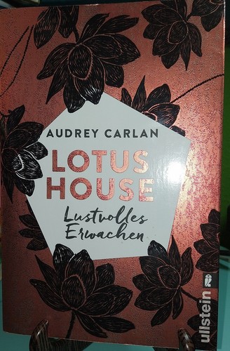 Lotus house lustvolles - house,