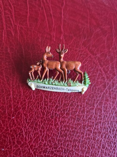 Alte anstecknadel souvenir - ,