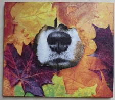 Deko HDF - Tiere Hund Herbst Laub Garten Blätter Wald Gassi gehen