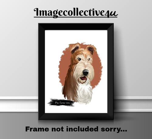 Foxterrier hund haustier - haustier, a4