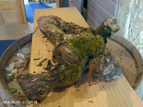 Weinstock herbstdeko holz - weinstock,