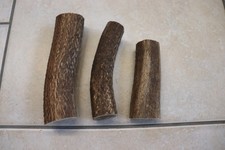 Hirschhornstück Horn