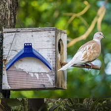 20x Tauben Ständer Stand Holz