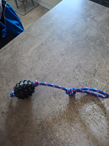 Hunde schleuderball aus - hunde,