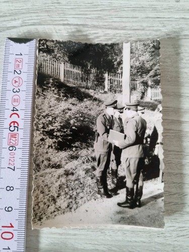 Foto beförderung - foto, *