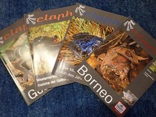 ELAPHE TERRARISTIK FACH-ZEITSCHRIFT DER DGHT, JAHRGANG 2025 KOMPLETT 4 HEFTE,TOP