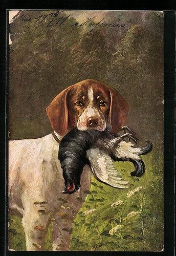 Künstler august müller - künstler-ak,