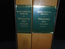 Maria Sibylla Merian