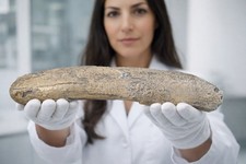 Top-Rarität: Gravierter