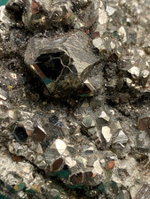 TOP 732g, großer herrlicher