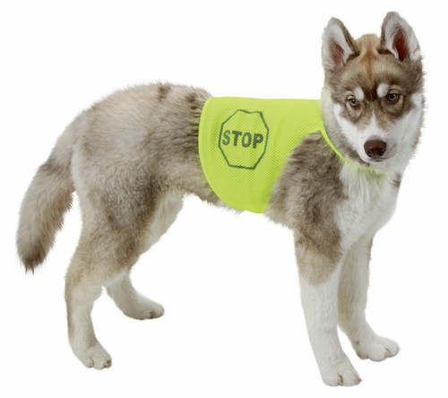 Maxi safe sicherheitsweste - maxi,