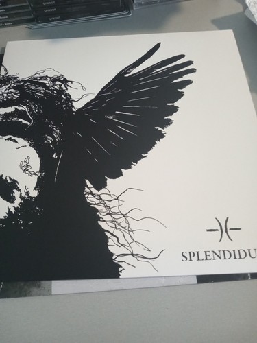 Splendidula somnus lp vinyl - -,