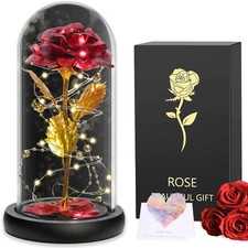 LED Ewige Rose im Glas für Frauen Geburtstag Schöne Biest Valentinstag Geschenk