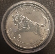 5 Dollar Canada 2016 Puma  1