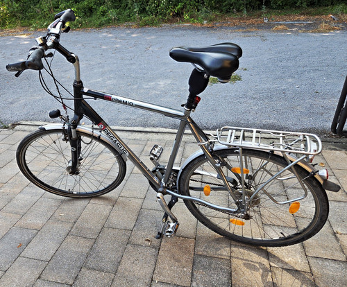 Pegasus premio trekkingrad - pegasus,