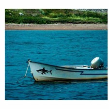 Shark Aufkleber Hai für