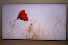 SAMSUNG GQ65Q950TSTXZG QLED TV  - Defekt  Panelbruch 8K, Smart TV, HDR, USB