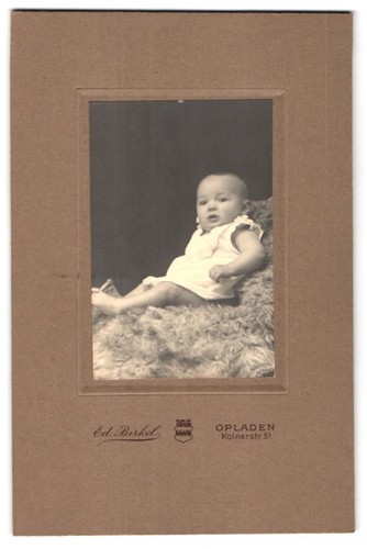 Fotografie birkel - ed.,