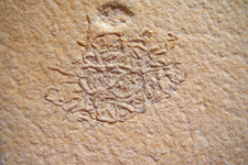 Koprolith, Lumbricaria