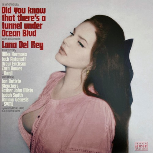 Lana del rey did you - rey,