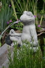 Frosch im Lotussitz -
