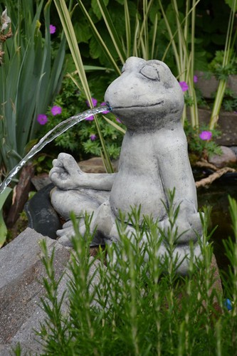 Frosch lotussitz - frosch,