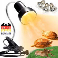 Schildkröten Wärmelampe