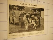 Auf den Markt Hustenanhänger