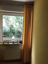 Vorhang 2 teilig, Gesamtlänge circa 2,25, die Gesamtbreite circa 2,80 cm