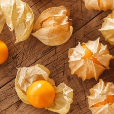 RIESIGE ANDENBEERE GÉANT DE