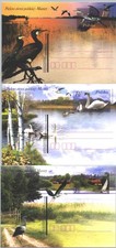Polen Ganzsachen Kormoran