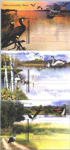 Polen ganzsachen kormoran - polen,