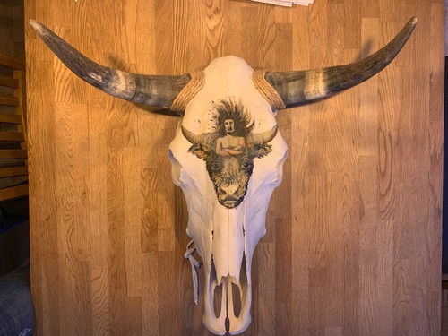 Longhorn,Rinderschädel