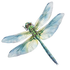 Wandtattoo Aufkleber Aquarell