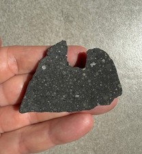 Meteorit Chondrit NWA 15970