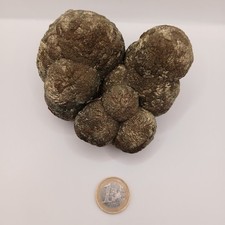 Riesige 1kg Markasit Pyrit Konkretion, kristallisiertes Schwamm Fossil?