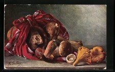 Künstler-AK M. Billing: Champignons und Pfifferlinge, Pilz 1911 