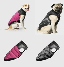 Canada Pooch Summit Stretch