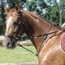 AMKA Thiedemann-Kombination